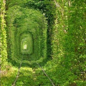 Meet your Posher, Elena